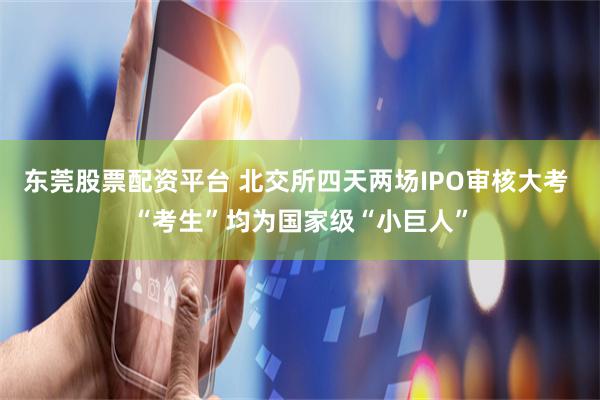 东莞股票配资平台 北交所四天两场IPO审核大考 “考生”均为国家级“小巨人”