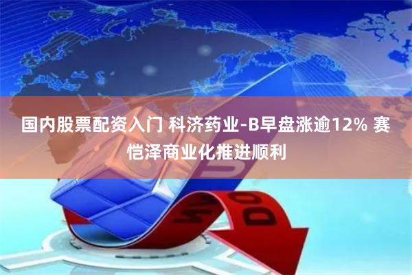 国内股票配资入门 科济药业-B早盘涨逾12% 赛恺泽商业化推进顺利