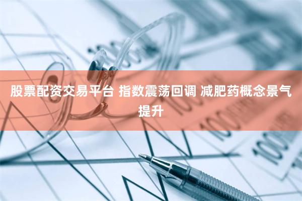 股票配资交易平台 指数震荡回调 减肥药概念景气提升