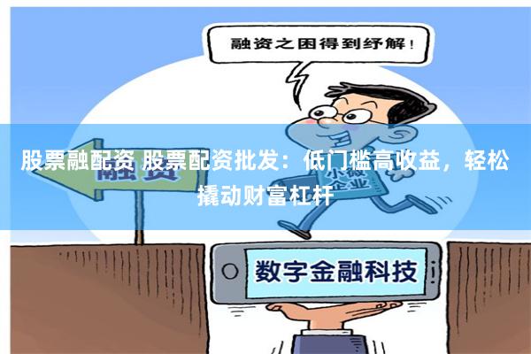 股票融配资 股票配资批发：低门槛高收益，轻松撬动财富杠杆